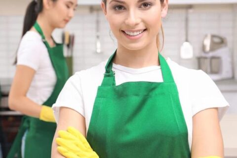 cleaning professionals