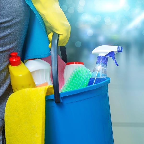bucket of cleaning supplies